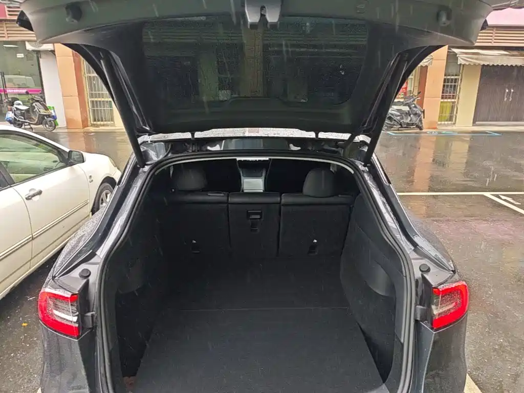 Tesla Model Y — фото 19