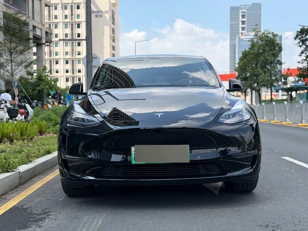 Tesla Model Y — фото 2