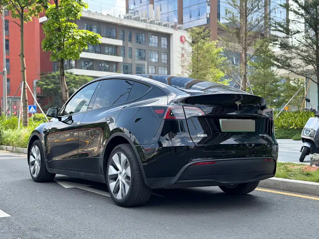 Tesla Model Y — фото 11