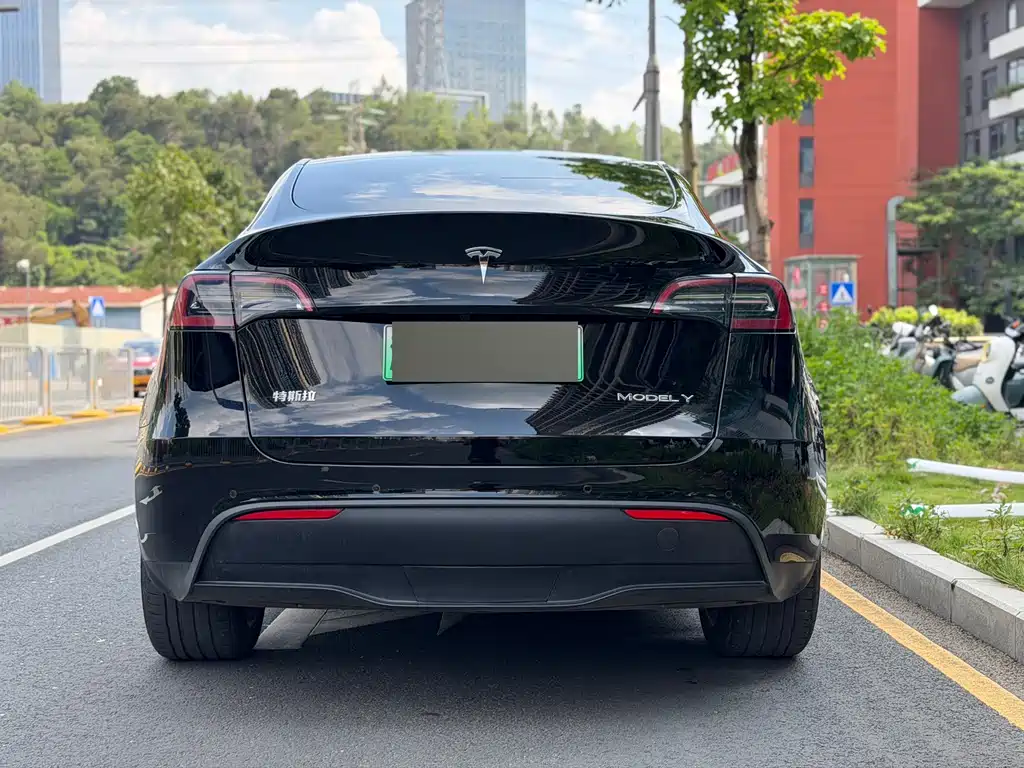 Tesla Model Y — фото 12
