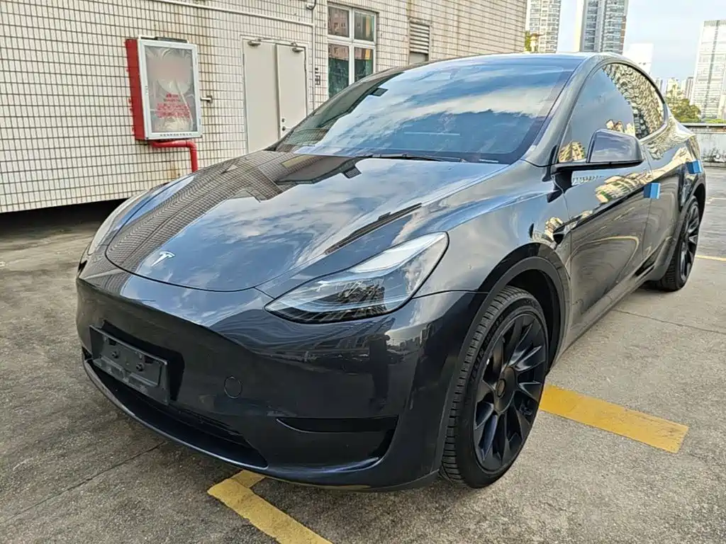 Tesla Model Y — фото 2