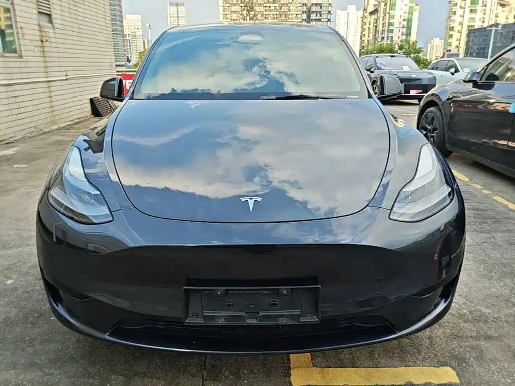 Tesla Model Y — фото 3