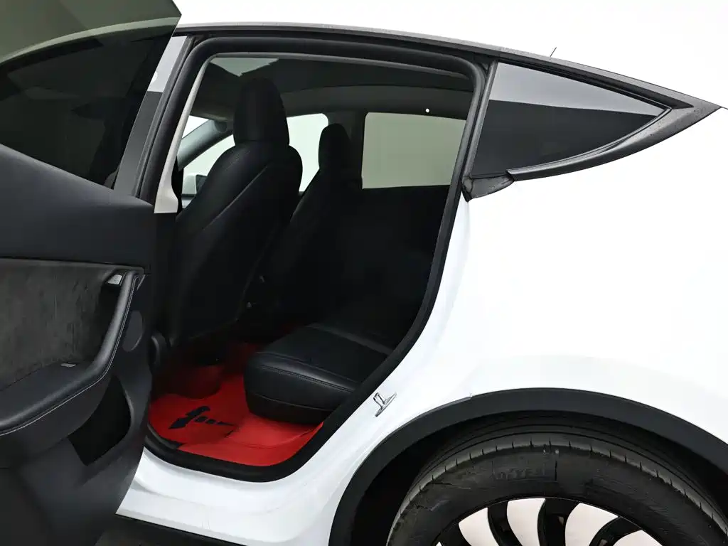 Tesla Model Y — фото 14