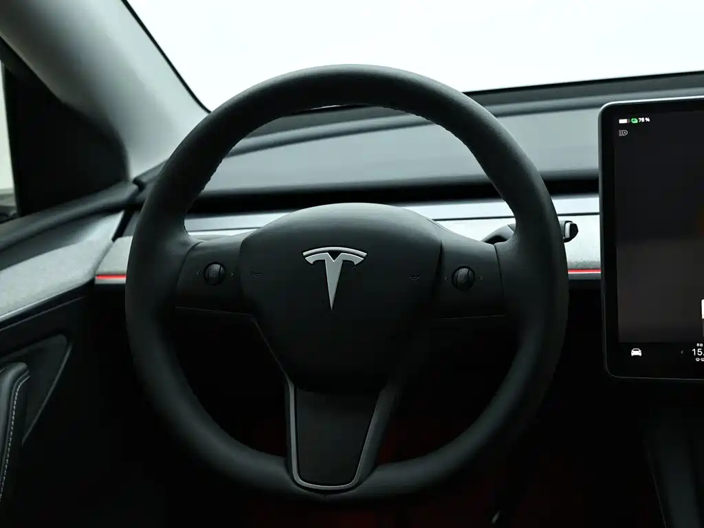 Tesla Model Y — фото 16