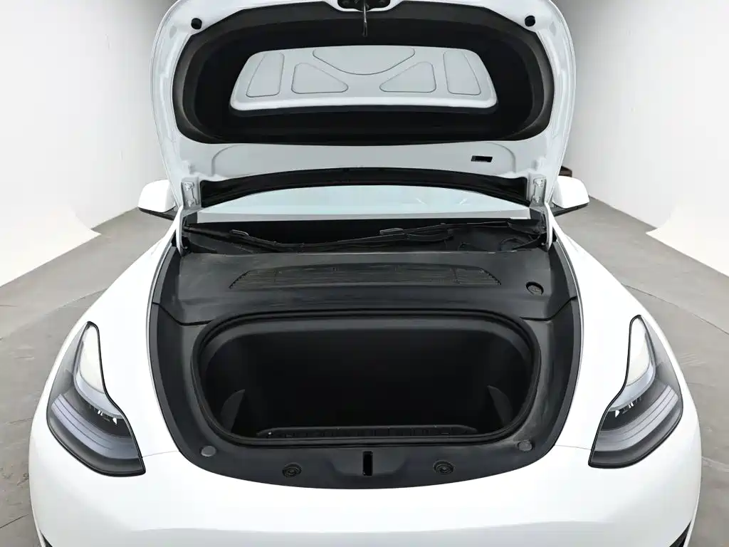 Tesla Model Y — фото 17