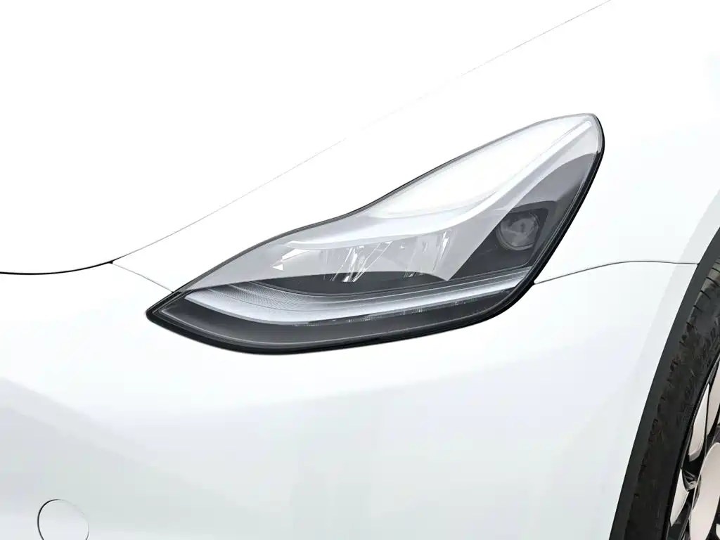 Tesla Model Y — фото 18