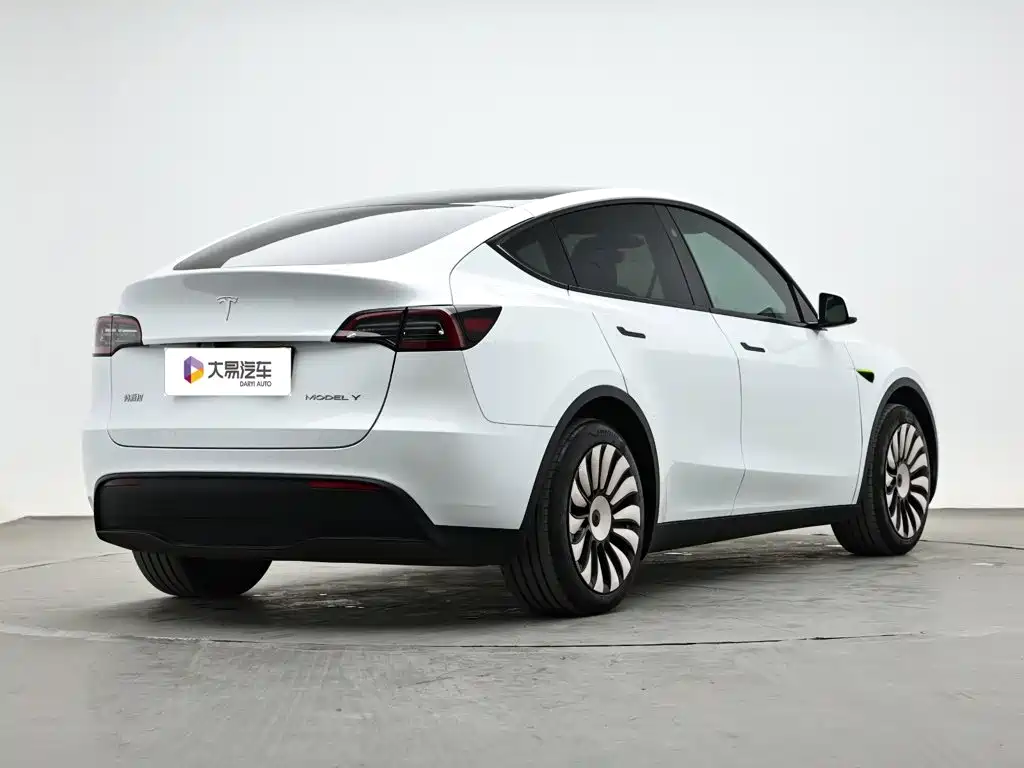 Tesla Model Y — фото 3