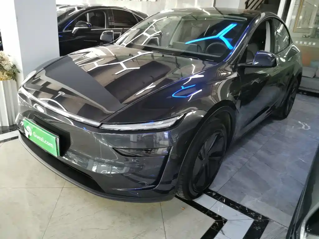 Tesla Model Y — фото 2