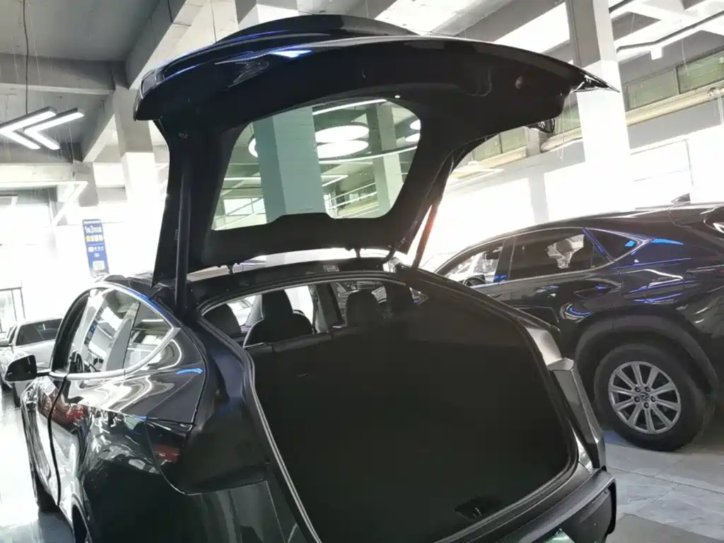 Tesla Model Y — фото 19