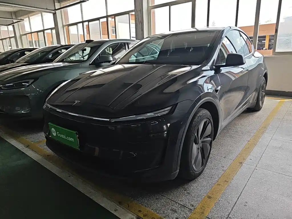 Tesla Model Y — фото 2