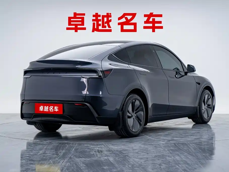 Tesla Model Y — фото 2