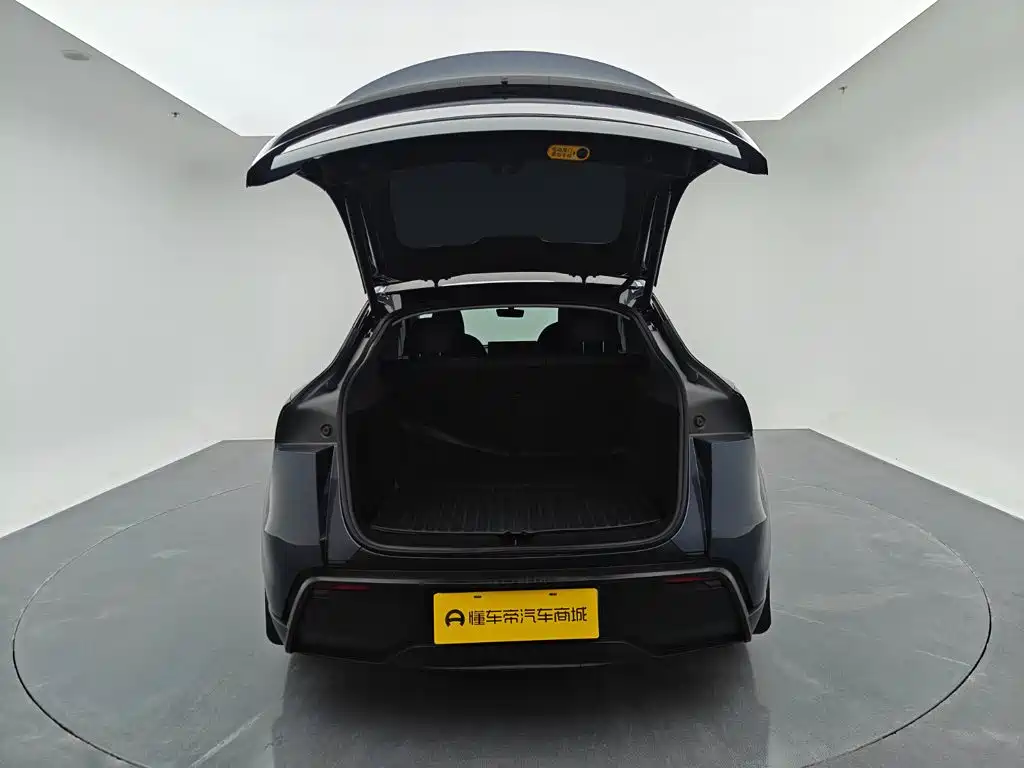 Tesla Model Y — фото 11