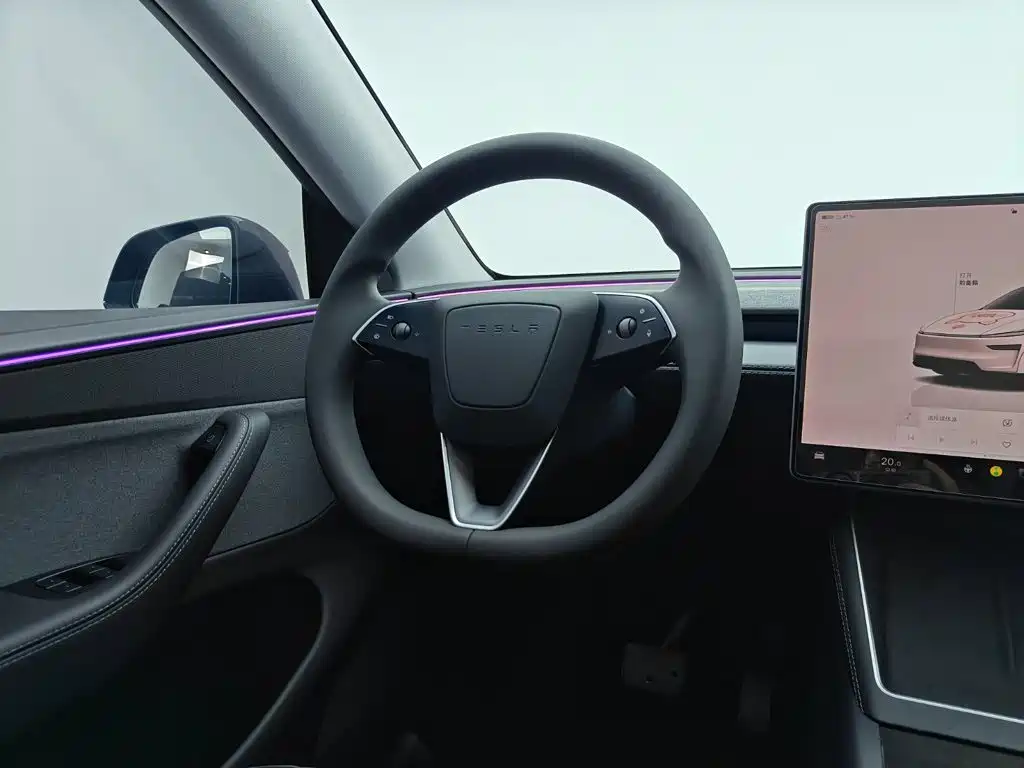 Tesla Model Y — фото 20