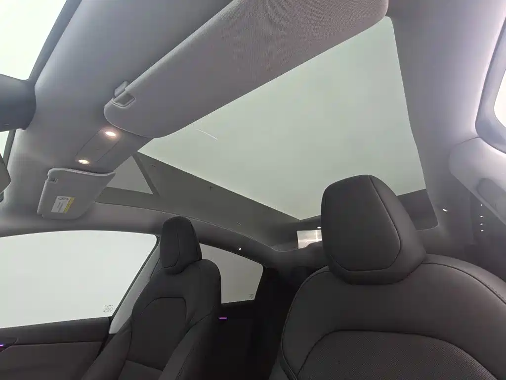 Tesla Model Y — фото 23