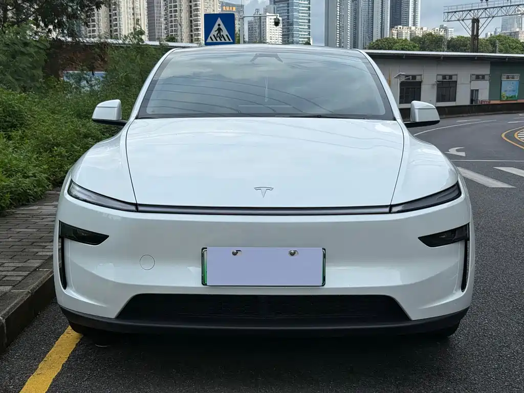 Tesla Model Y — фото 2
