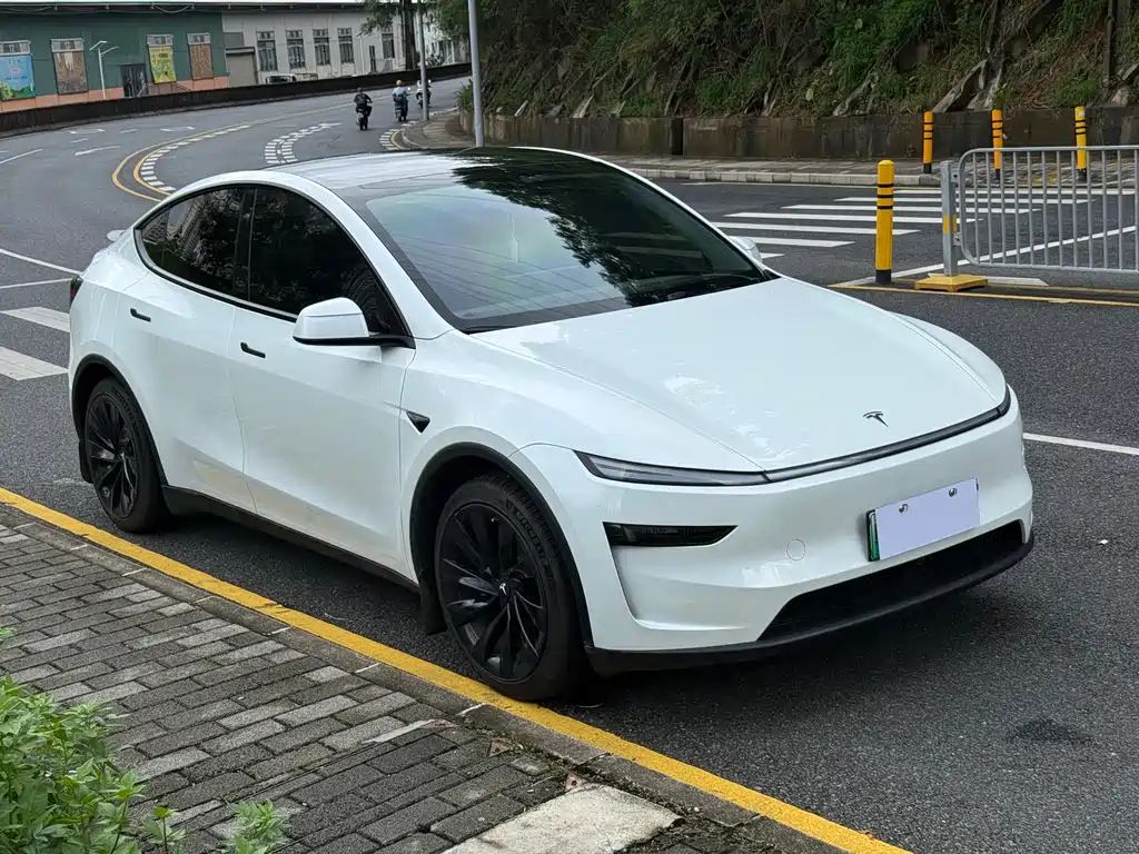 Tesla Model Y — фото 3