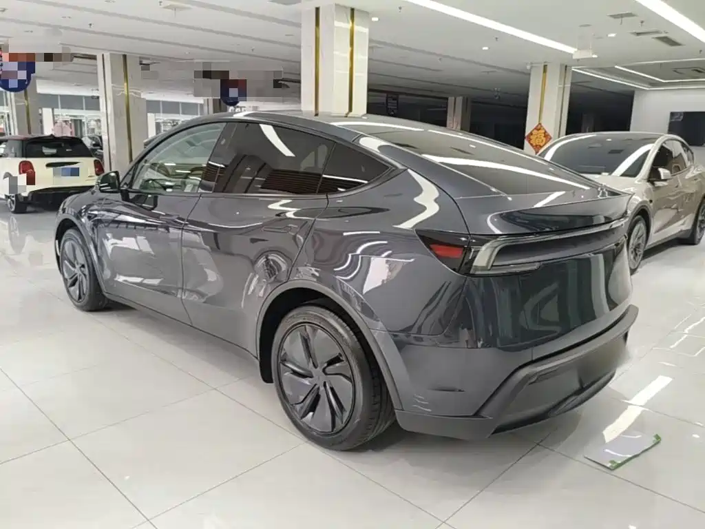 Tesla Model Y — фото 5