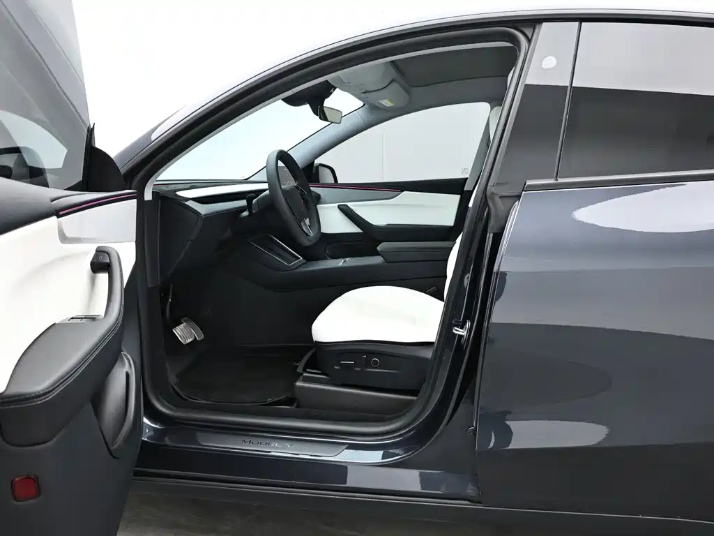 Tesla Model Y — фото 11