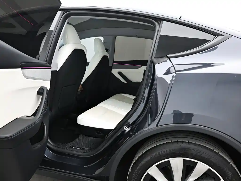 Tesla Model Y — фото 13