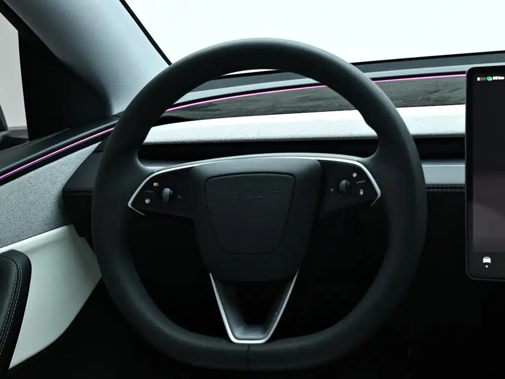 Tesla Model Y — фото 15