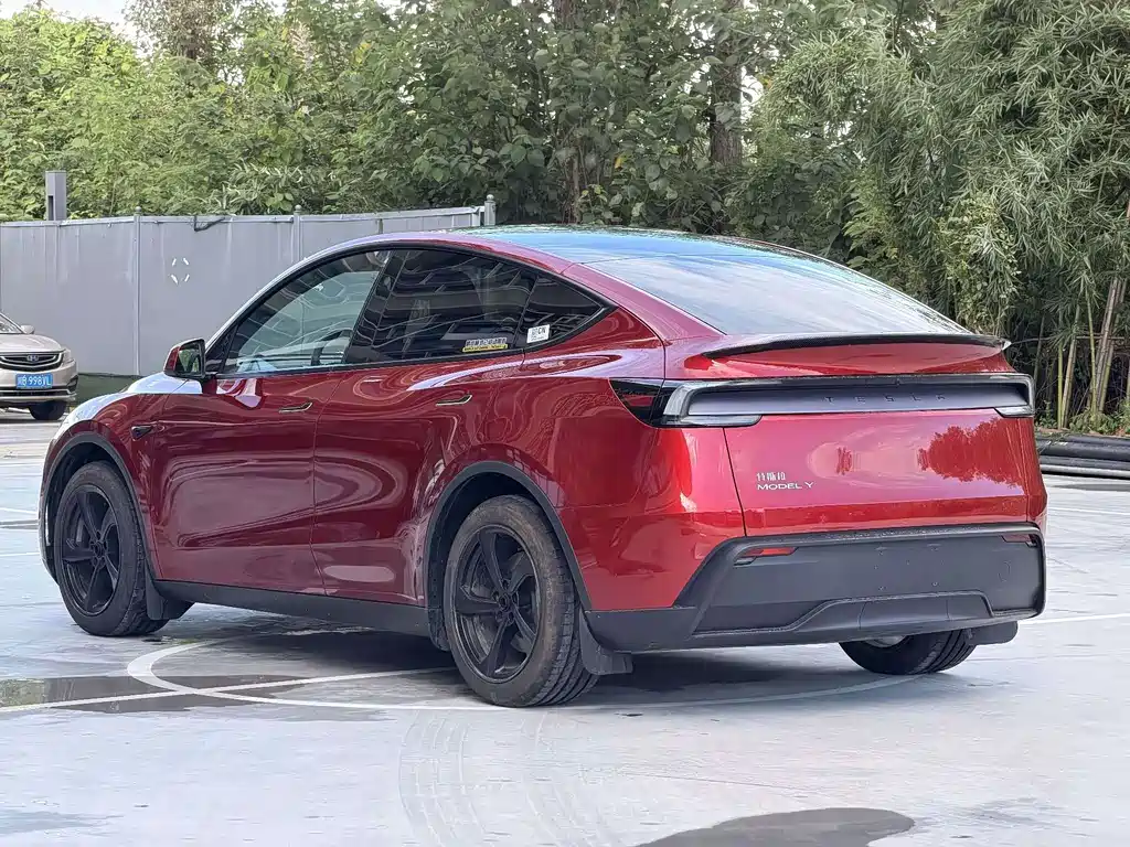 Tesla Model Y — фото 11