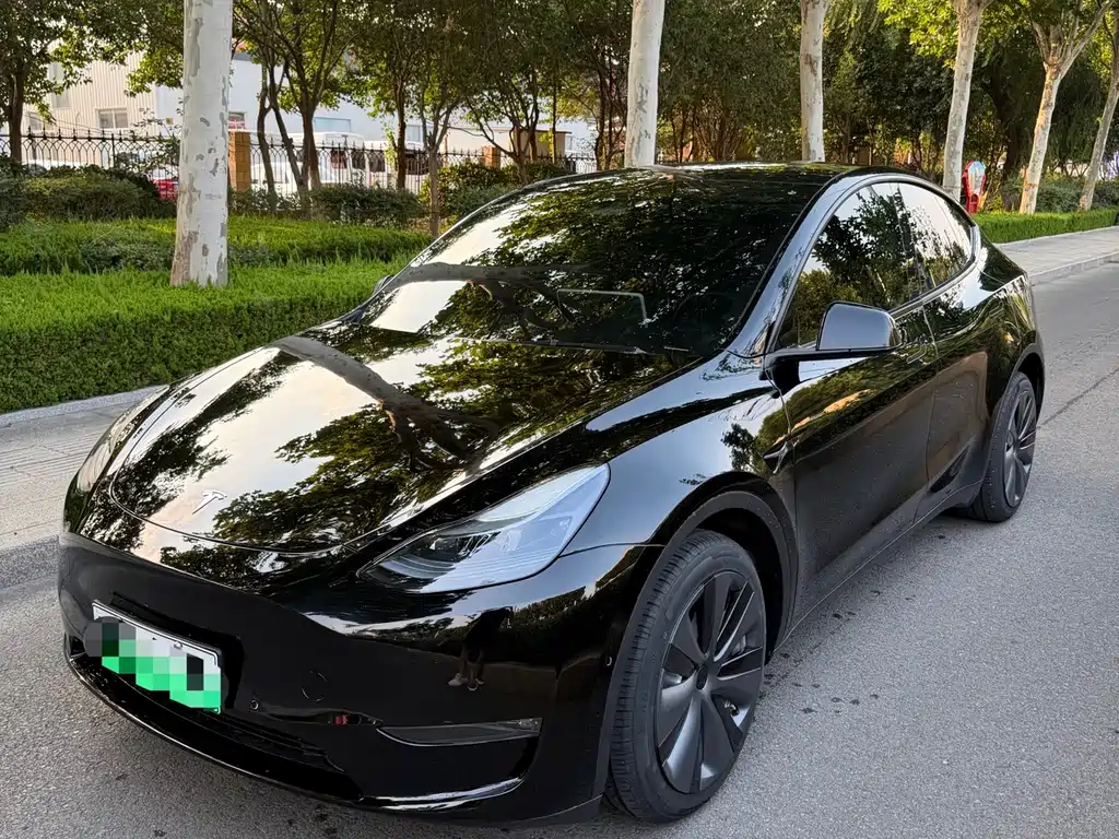 Tesla Model Y — фото 2