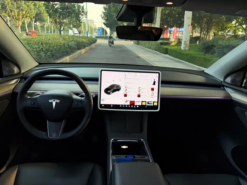 Tesla Model Y — фото 8