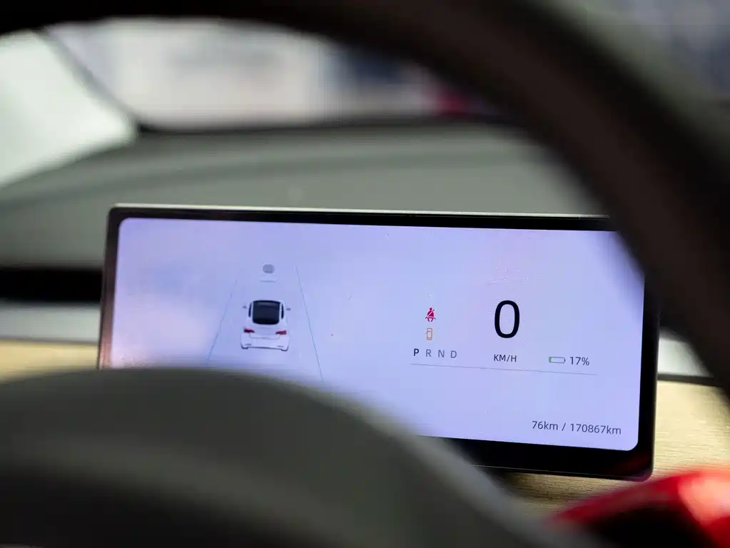 Tesla Model Y — фото 11