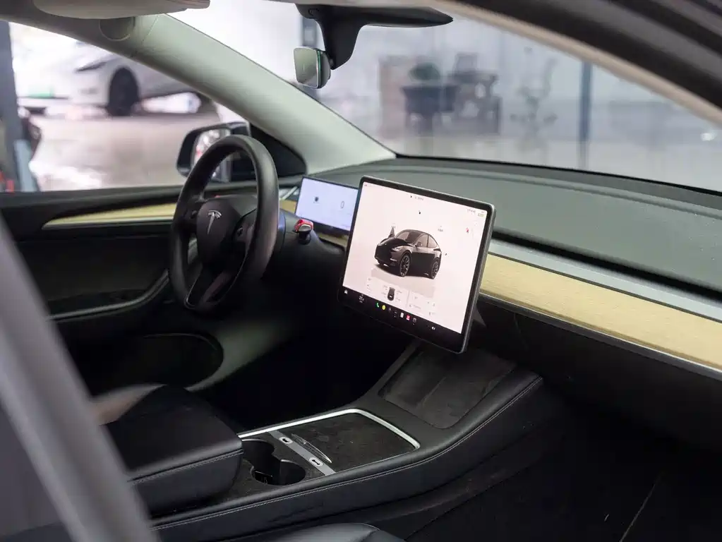 Tesla Model Y — фото 13
