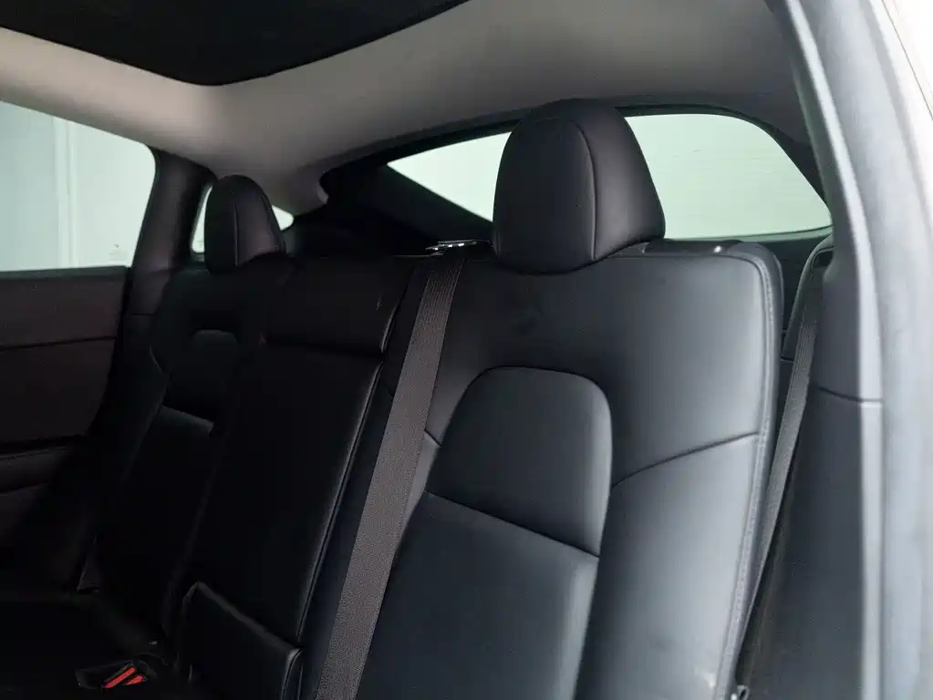 Tesla Model Y — фото 15
