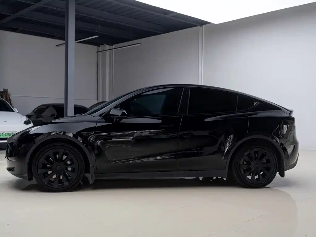 Tesla Model Y — фото 3