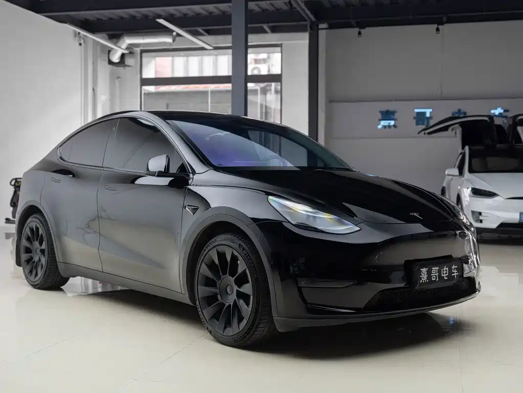 Tesla Model Y — фото 8