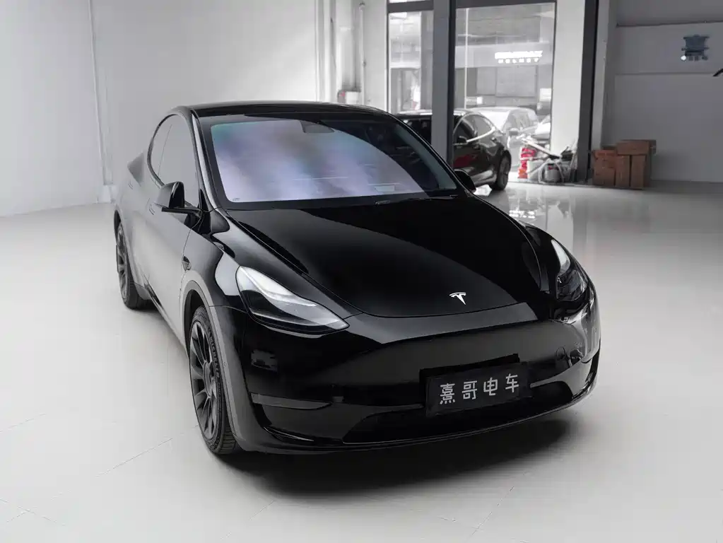 Tesla Model Y — фото 9