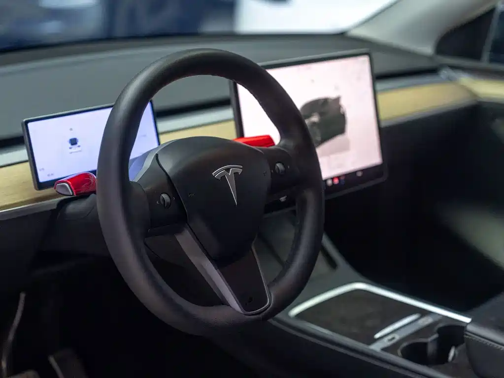 Tesla Model Y — фото 10