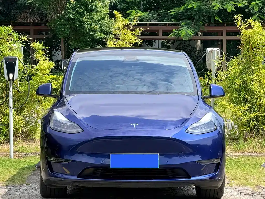 Tesla Model Y — фото 2