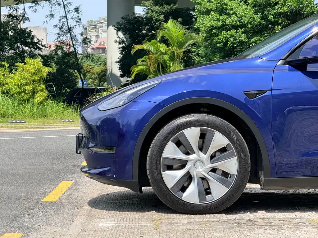 Tesla Model Y — фото 11