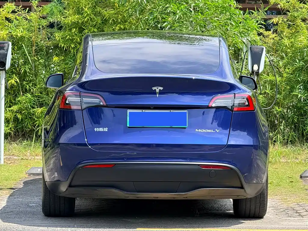 Tesla Model Y — фото 13