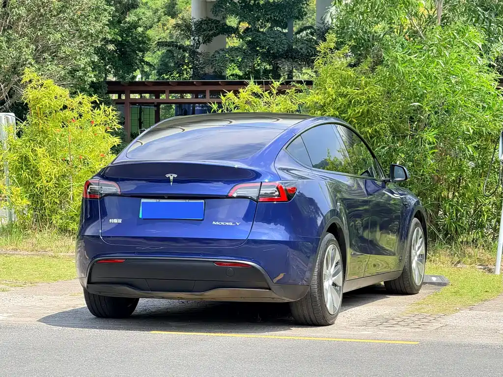 Tesla Model Y — фото 14