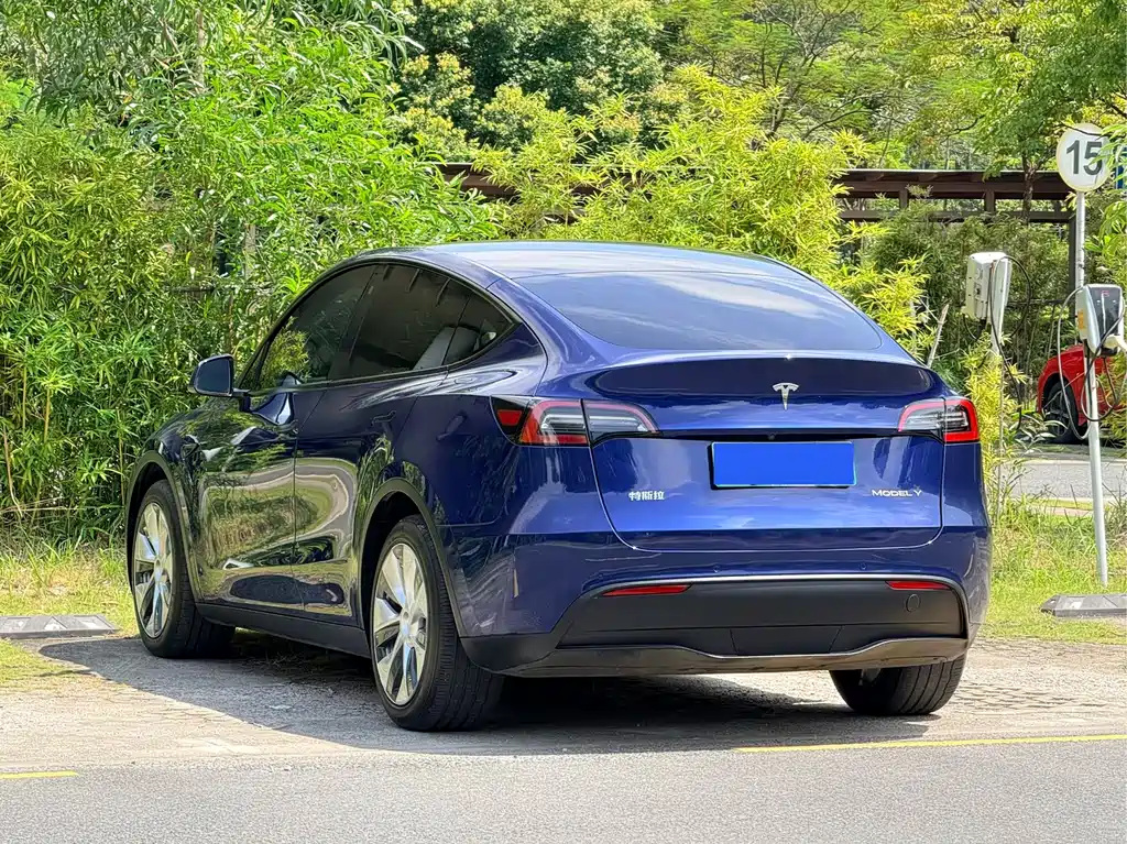 Tesla Model Y — фото 15