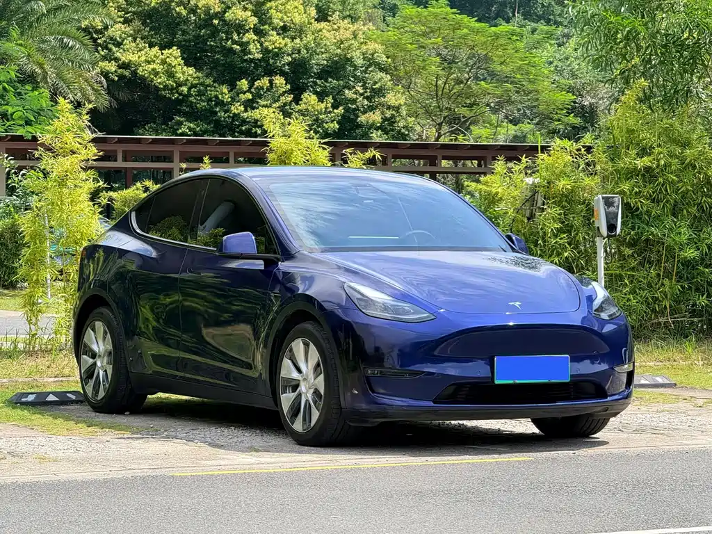 Tesla Model Y — фото 3