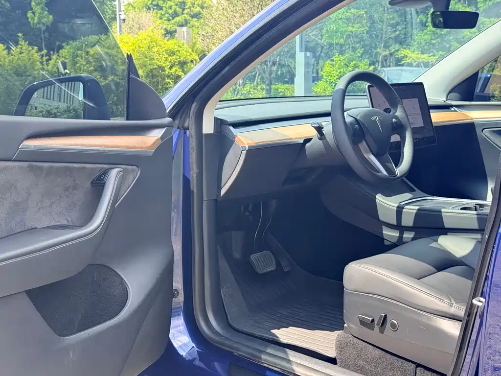 Tesla Model Y — фото 4