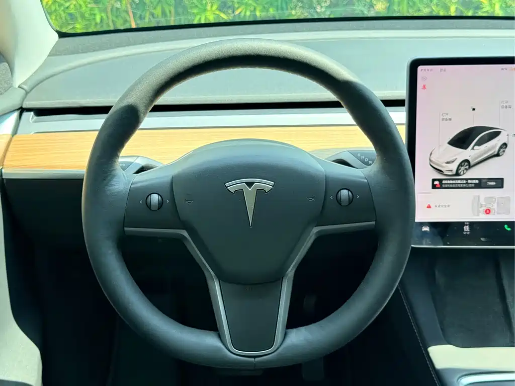 Tesla Model Y — фото 8