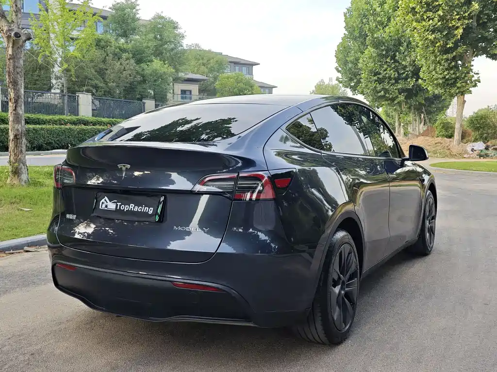 Tesla Model Y — фото 9