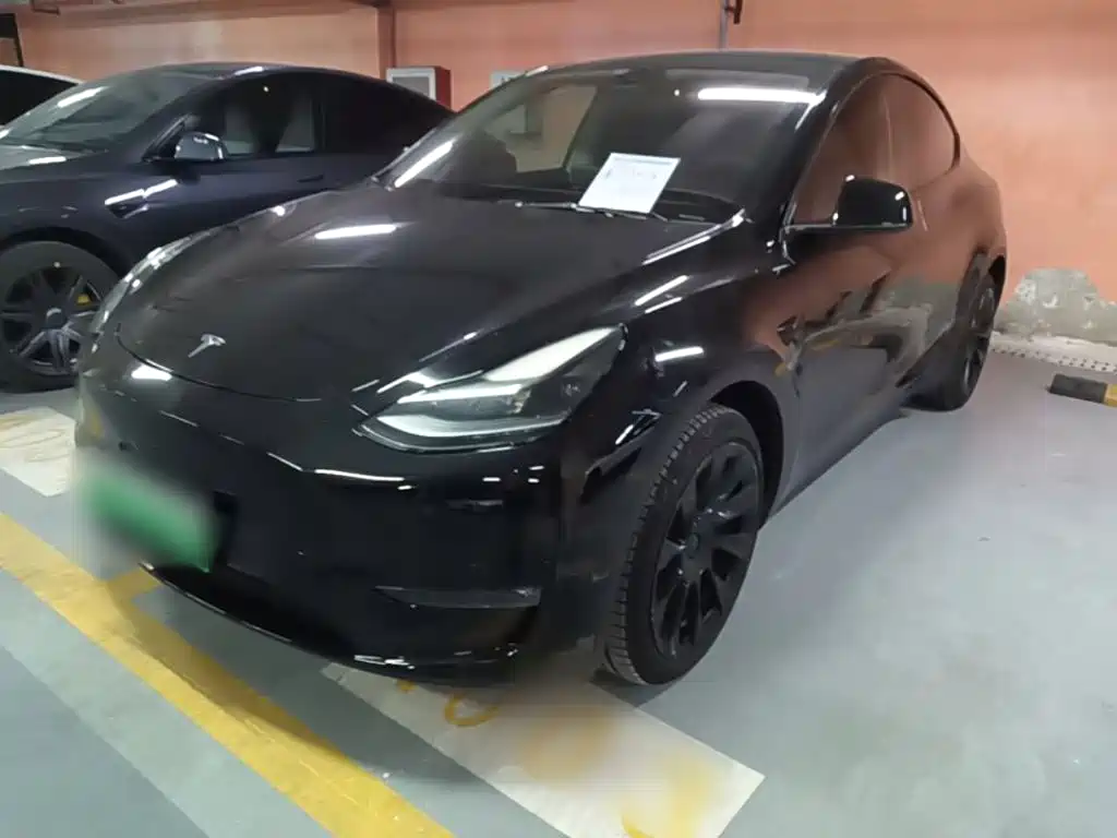 Tesla Model Y — фото 2
