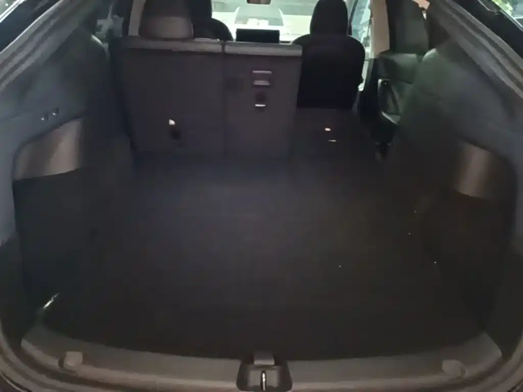 Tesla Model Y — фото 19