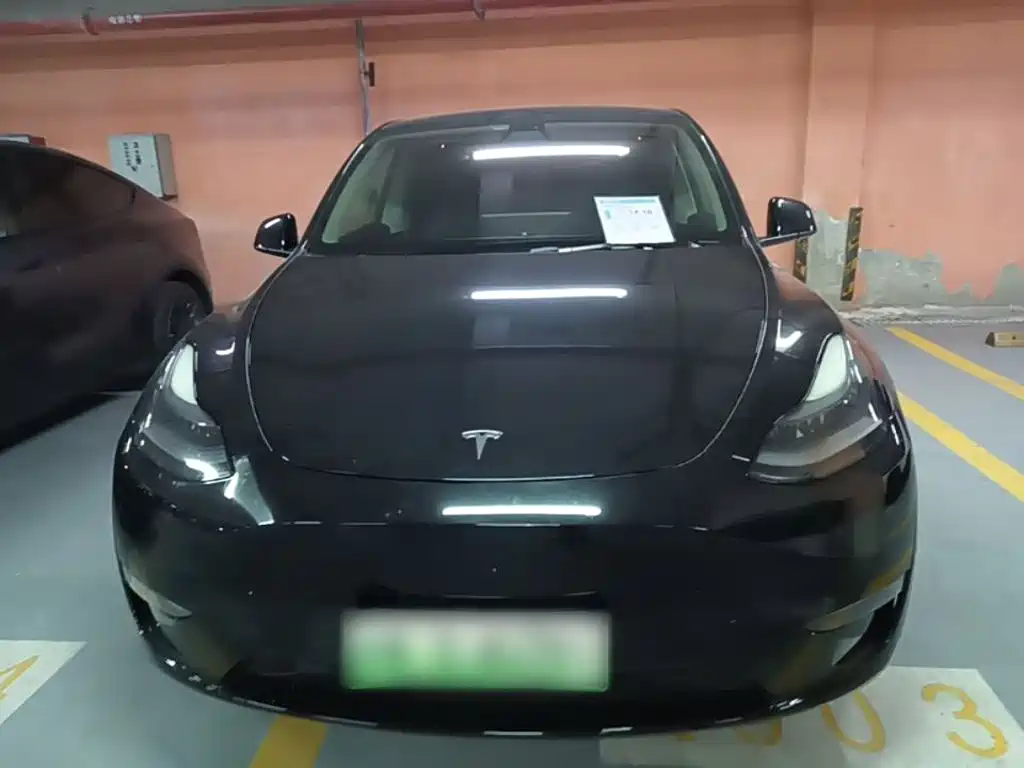 Tesla Model Y — фото 3