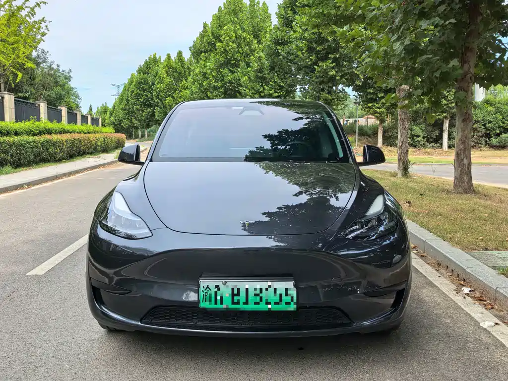 Tesla Model Y — фото 2