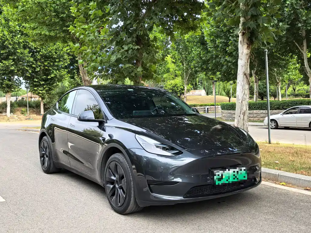 Tesla Model Y — фото 3