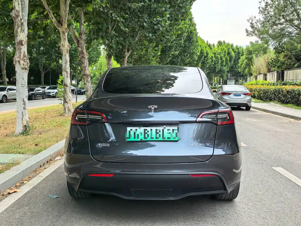 Tesla Model Y — фото 8