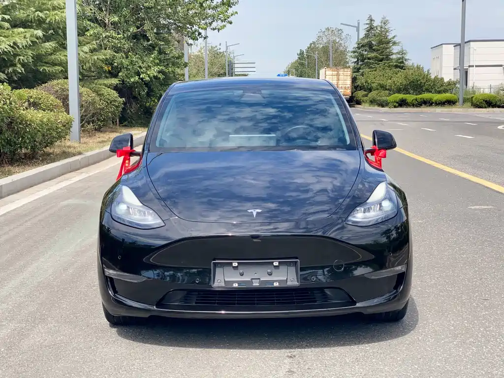 Tesla Model Y — фото 2